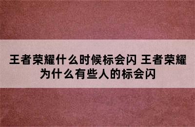 王者荣耀什么时候标会闪 王者荣耀为什么有些人的标会闪